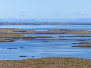 Alftafjördur  