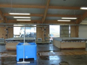 Salt production in Reykholar  