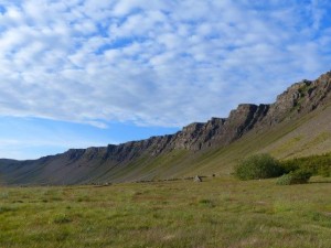 Skalmarnesmuli   