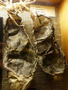 Fish skin shoes  