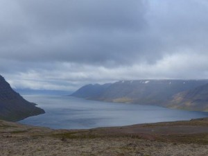 Dynjandisheidi Pass    