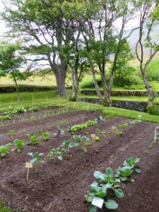 Skrudur Garden      