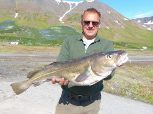Cod aka Dorsch aka Kabeljau        