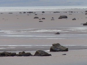 Drangajökull       