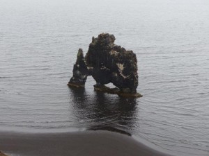Hvitserkur, the monster...