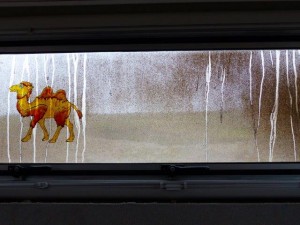 Room with no view      
