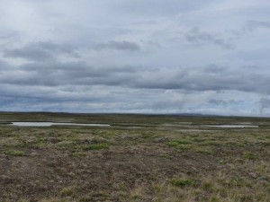 Arnarvatnsheidi      