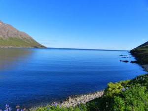 Hedinsfjördur      