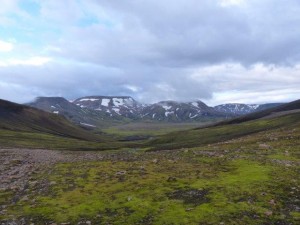 Strutur trail  