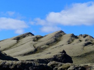 Tjarnargigur  