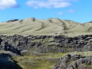 Tjarnargigur  