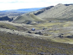 Tjarnargigur   