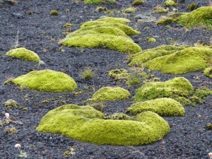 Maellifellsandur  
