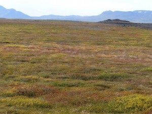Herbst in Island  