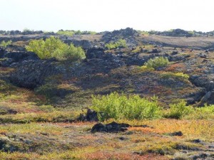 Herbst in Island  