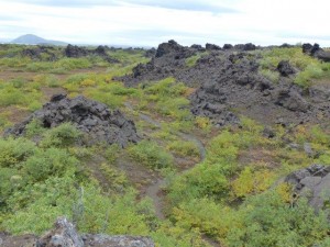 Dimmuborgir  