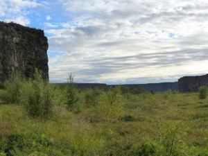 Asbyrgi Schlucht   