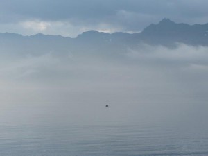 The Old Man and the Sea     