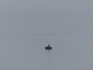 The Old Man and the Sea     