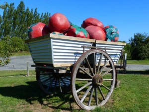 GMO Strawberries  