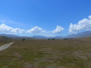 Oteaki Conservation Park 