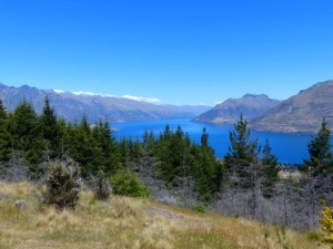 Lake Wakatipu 