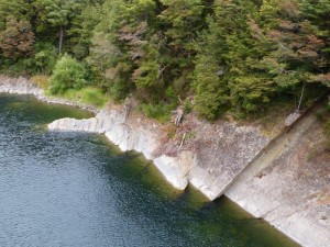 Waiau River  