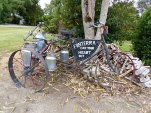Fonterra - the beginnings    
