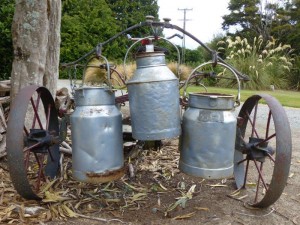 Fonterra - the beginnings    