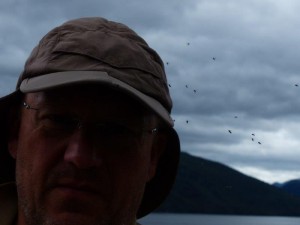 Sandfly attack   