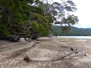Lake Hauroko   