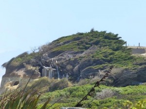 Monkey Island   