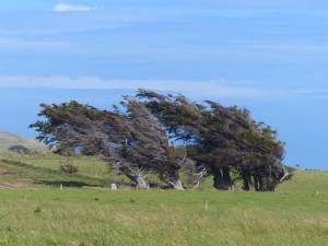 Windy...   