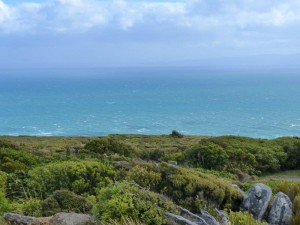 Bluff   
