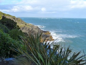 Foveaux Walk, Bluff   