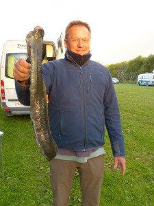 Eel - before    
