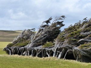 Slope Point   