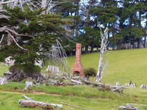 The Catlins    