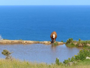 Florence Hill Lookout    