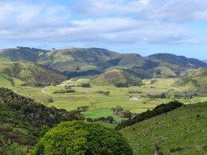The Catlins    