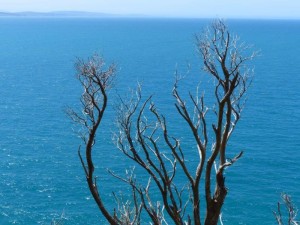 Nugget Point    