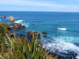 Nugget Point    