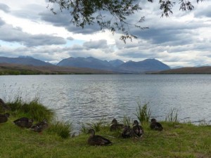 Lake Alexandrina      