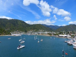 Picton   