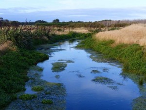 Wairarapa Lake   