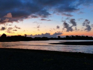 Haumoana     