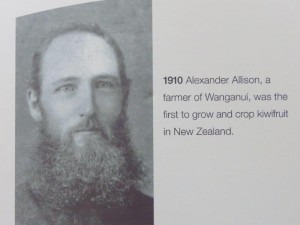 The first Kiwi grower, Te Puke 