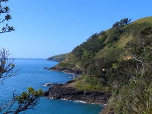 Coromandel