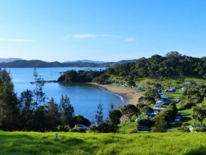 Puriri Bay 