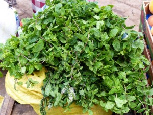 Fresh Peppermint